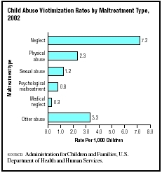 This graph of 2002 data on child abuse in the United States shows that neglect is by far the most common type of abuse. (Graph by GGS Information Services.)