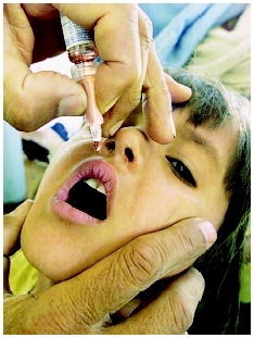 Oral polio vaccines are no longer recommended for use in the United States, but are still used in many parts of the world. ( Reuters/Corbis)
